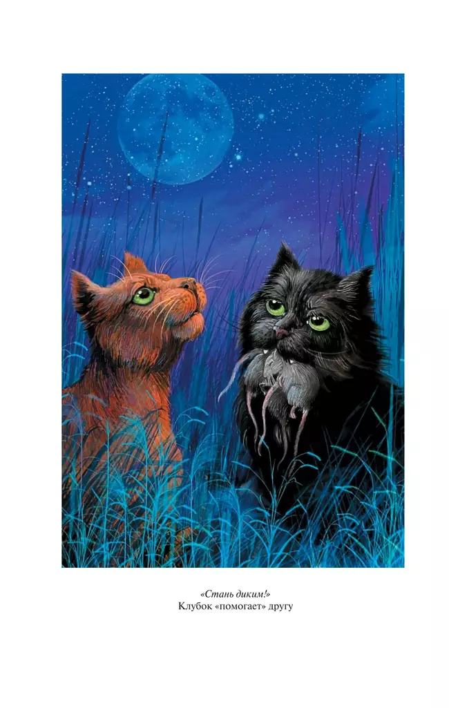 Коты-воители. Золотая коллекция. Стань диким! Огонь и лед. (новое оформление). Хантер. 52