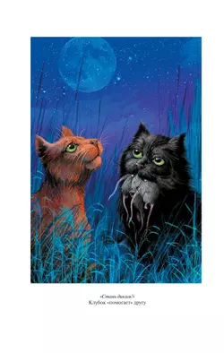 Коты-воители. Золотая коллекция. Стань диким! Огонь и лед. (новое оформление). Хантер. 52