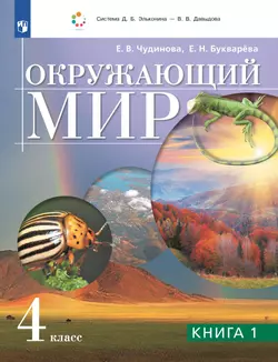 Окружающий мир. 4 класс. Учебник. В двух книгах. Книга 1 1