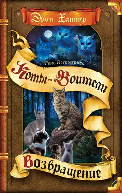 Тень Когтегрива. Возвращение 1