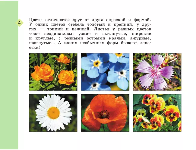 Изобразительное искусство. Рабочая тетрадь. 2 класс 21