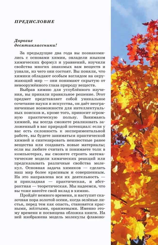 Мир химии: факты, идеи, теории. 10 класс. Углублённый уровень. Учебник 16