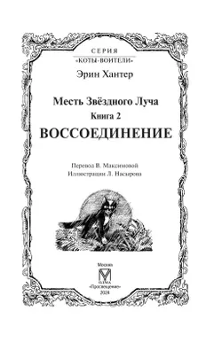 Специальное издание. Месть Звездного Луча. Том 2. Воссоединение. 11