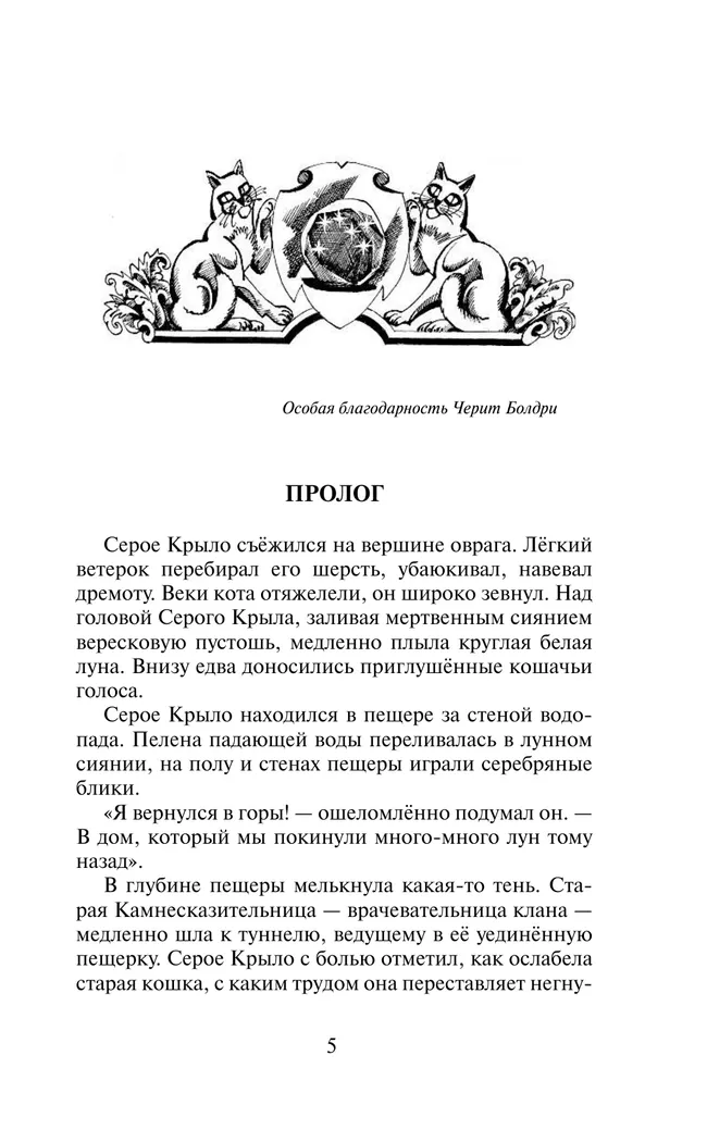 Сверкающая Звезда 13