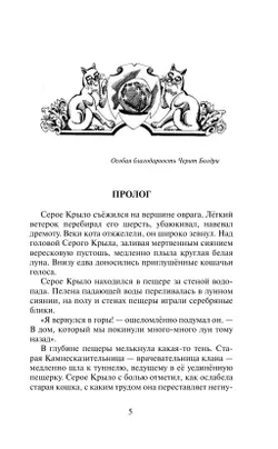 Сверкающая Звезда 13