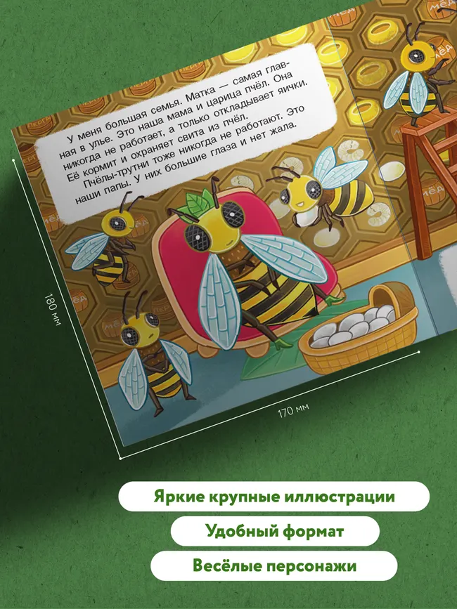 В гостях у пчёлки Жужи 6