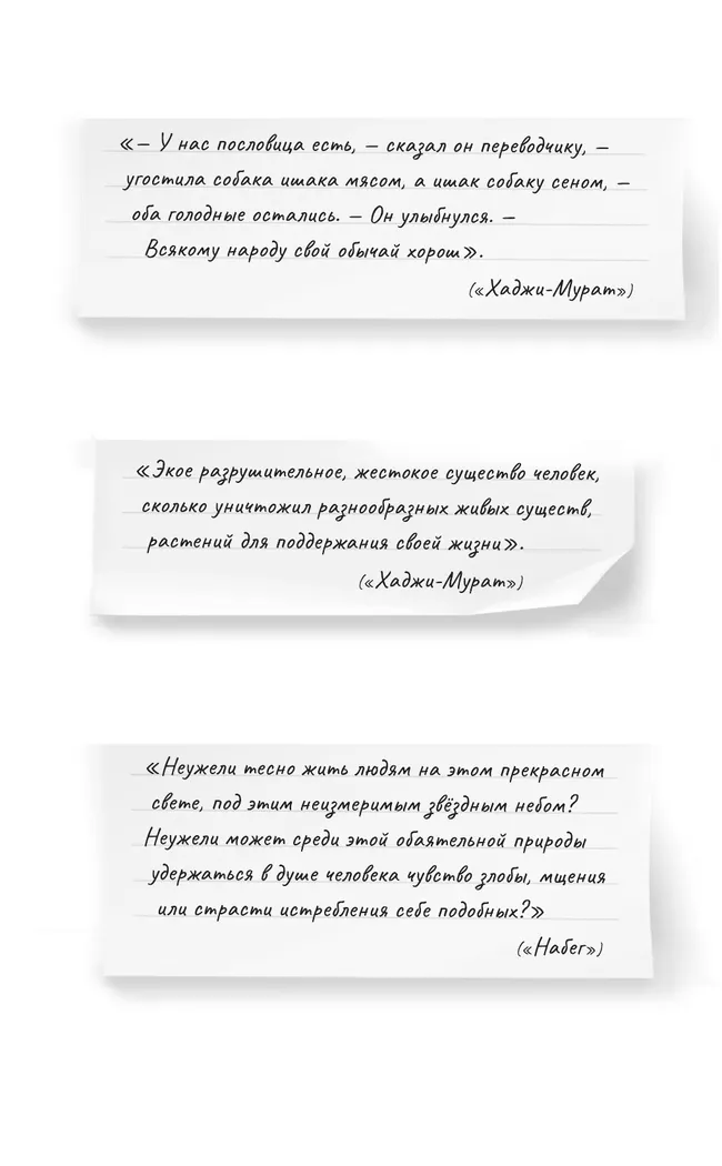 Хаджи-Мурат. Повести и рассказы 4