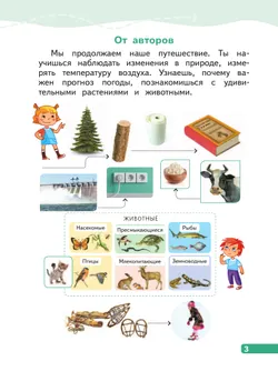 Окружающий мир. 1 класс. В 4-х частях. Часть 2 15