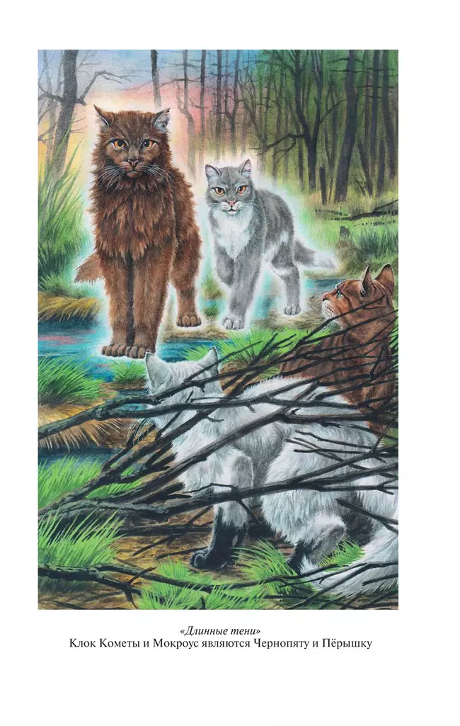 Коты-воители. Золотая коллекция. Длинные тени. Восход солнца. Хантер 23