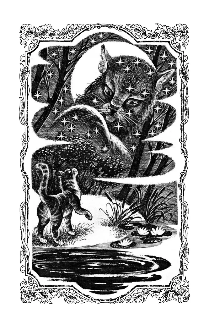 Коты-воители. Цикл "Гроза Ежевичной звезды". Вода и кровь. Хантер. 51 Коты-воители. Цикл "Гроза Ежевичной звезды". Вода и кровь. Хантер. 51