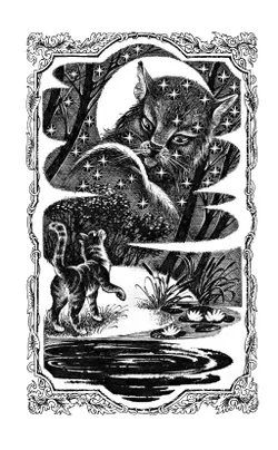 Коты-воители. Цикл "Гроза Ежевичной звезды". Вода и кровь. Хантер. 51