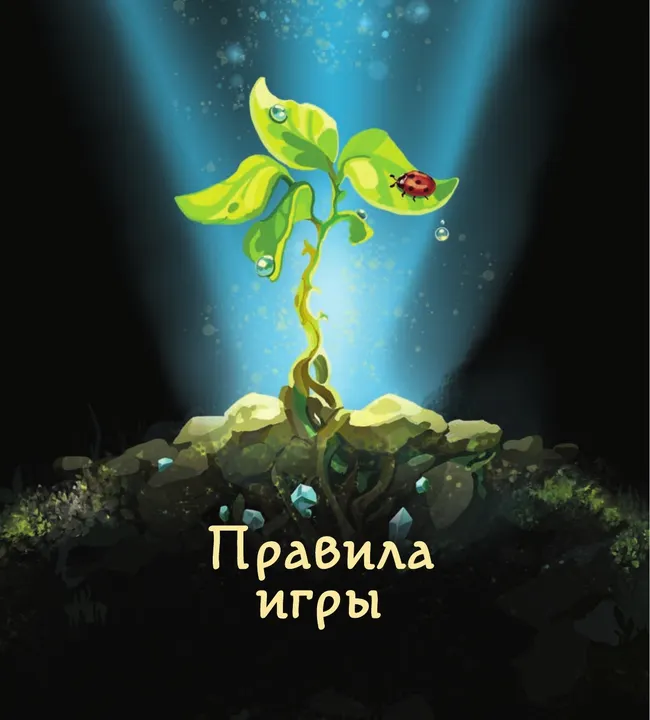 Чудо роста. Настольная игра 2