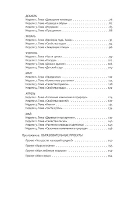Познавательное развитие. Ребёнок и окружающий мир. Методические рекомендации к программе «Мир открытий». Конспекты современных форм организации детских видов деятельности. Вторая младшая группа 5