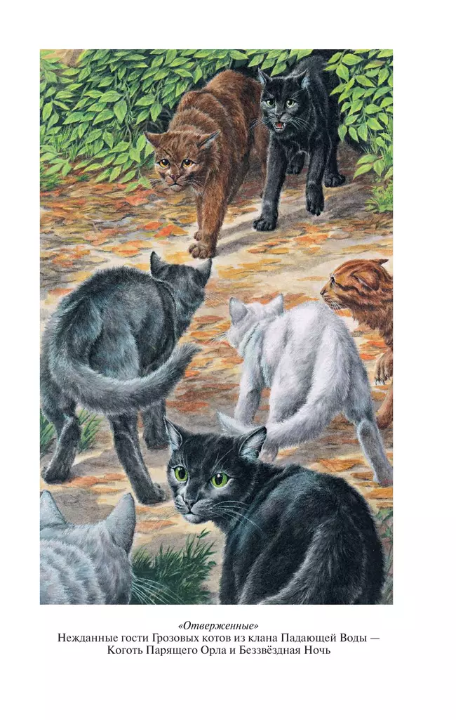 Коты-воители. Золотая коллекция. Отверженные. Затмение. 53