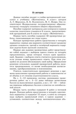 Математика. 6 класс. Проверочные работы. 11