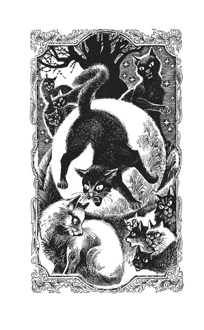 Цикл "Сила трех". Восход солнца. 16