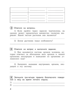Окружающий мир: предварительный контроль, текущий контроль, итоговый контроль. 4 класс 10
