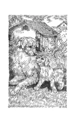 Хроники Стаи. Прерванный путь. 25