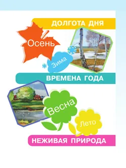 Мир природы и человека. 2 класс. Учебник. В 2 частях. Часть 1 (для обучающихся с интеллектуальными нарушениями) 21