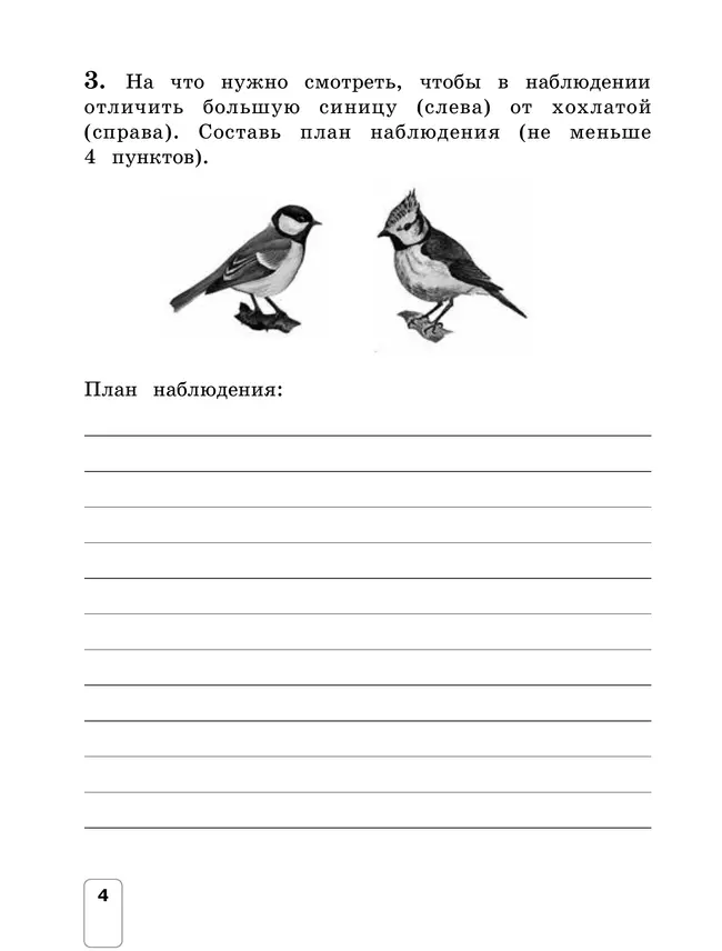 Окружающий мир 2 класс. Контрольно-диагностические работы. 16 Окружающий мир 2 класс. Контрольно-диагностические работы. 16