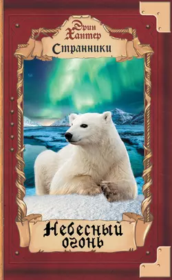Странники. Небесный огонь 1