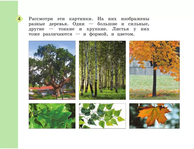 Изобразительное искусство. Рабочая тетрадь. 1 класс 7 Изобразительное искусство. Рабочая тетрадь. 1 класс 7