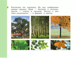 Изобразительное искусство. Рабочая тетрадь. 1 класс 7