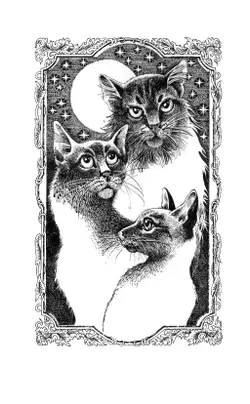 Сборник. Цикл "Нерассказанные истории". История Остролистой. 6