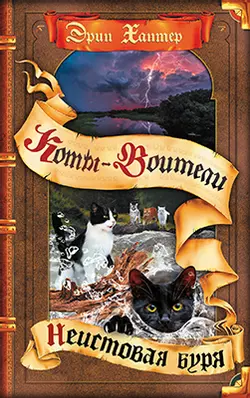 Неистовая буря (цикл "Видение теней") 1