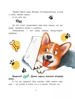 Улисс и носочная фея 4