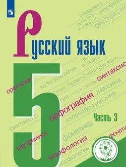 Русский язык. 5 класс. Учебное пособие. В 4 ч. Часть 3 (для слабовидящих обучающихся) 1