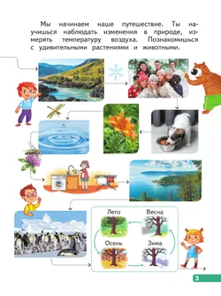 Природа России. 1-2 классы 25