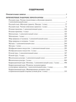 Примерные рабочие программы по учебным предметам и коррекционным курсам образования обучающихся с умственной отсталостью. Вариант 1. 1 дополнительный, 19