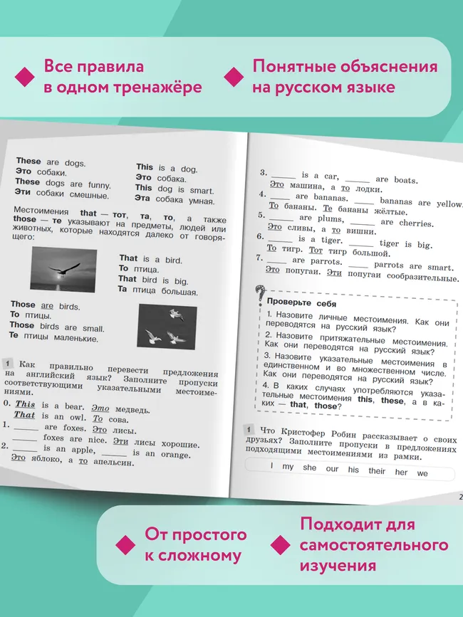Английский язык. Грамматический тренажер. 2 класс 5 Английский язык. Грамматический тренажер. 2 класс 5