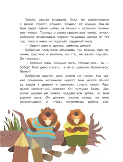 Бобрёнок Бом и скрипка филина 22