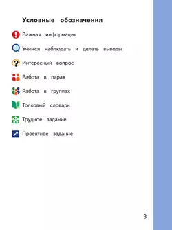 Русский родной язык. 4 класс. Учебное пособие. В 3 ч. Часть 3 (для слабовидящих обучающихся) 38