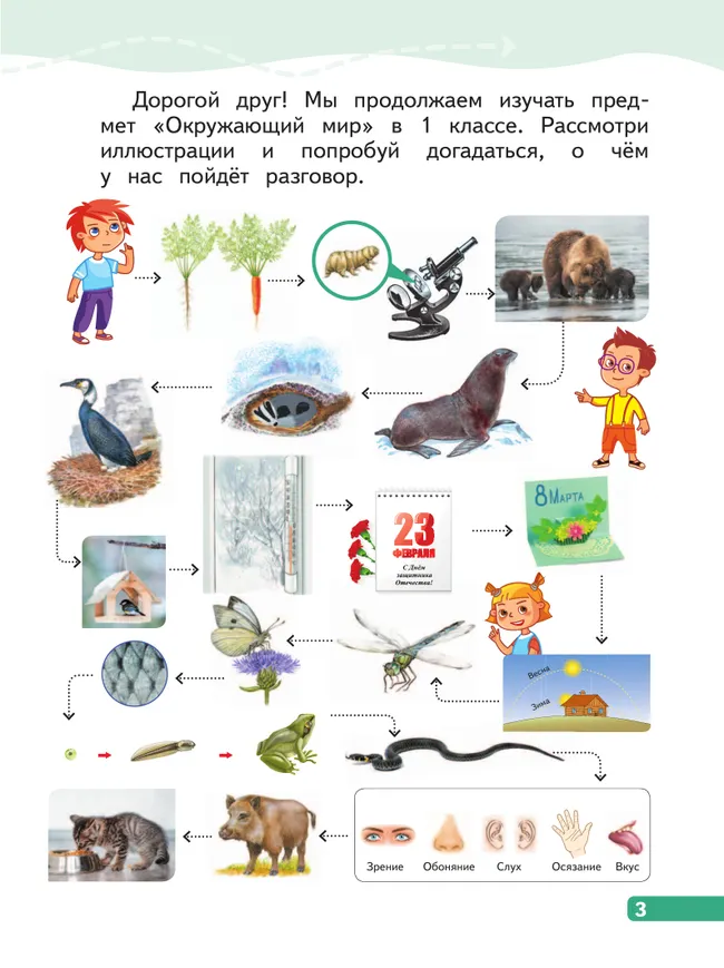 Окружающий мир. 1 класс. В 4-х частях. Часть 3 7