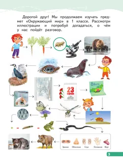 Окружающий мир. 1 класс. В 4-х частях. Часть 3 7