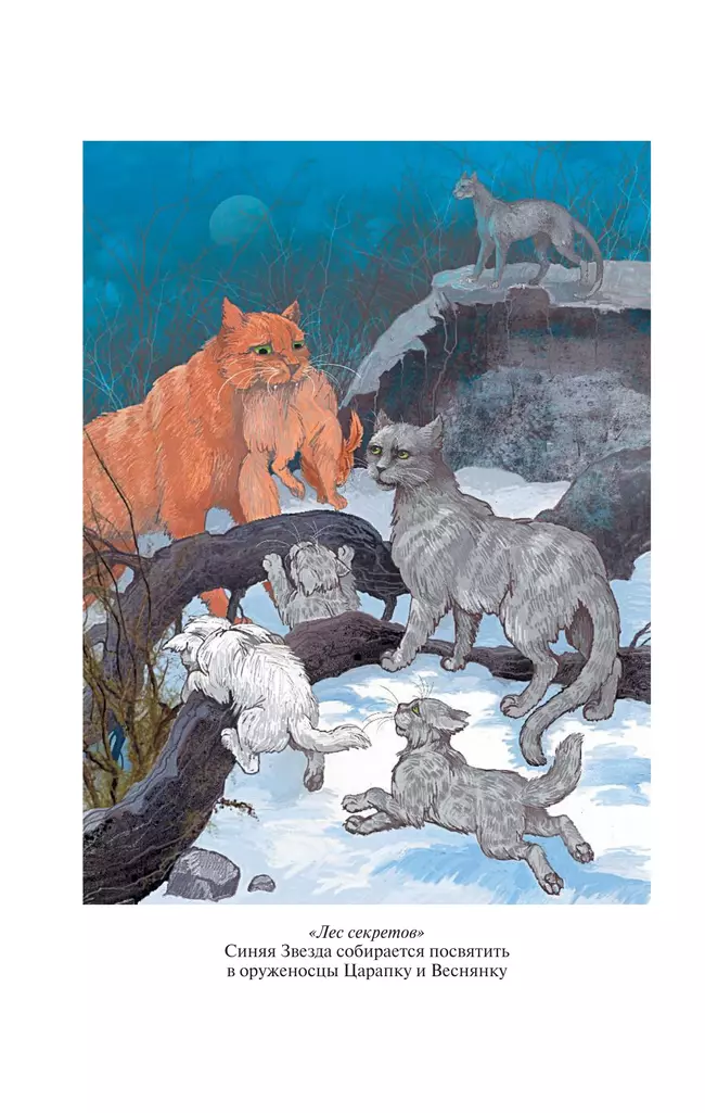 Коты-воители. Золотая коллекция. Лес секретов. Бушующая стихия. (новое оформление). 16