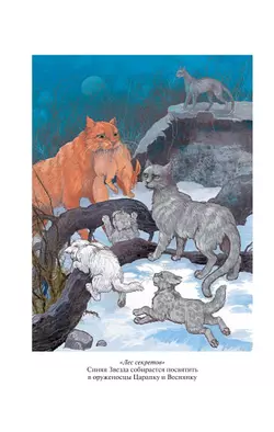 Коты-воители. Золотая коллекция. Лес секретов. Бушующая стихия. (новое оформление). 16