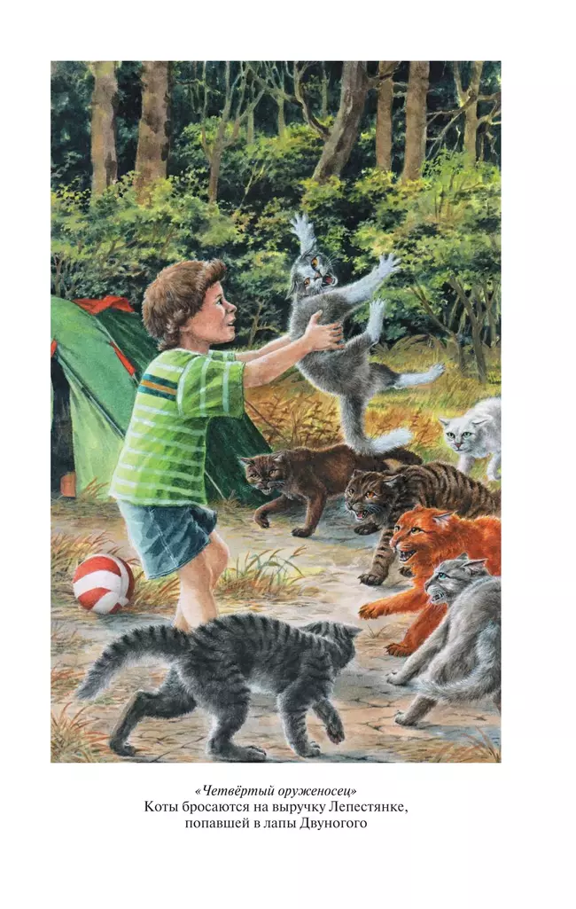 Коты воители. Золотая коллекция. Четвертый оруженосец. Долгое эхо 13 Коты воители. Золотая коллекция. Четвертый оруженосец. Долгое эхо 13