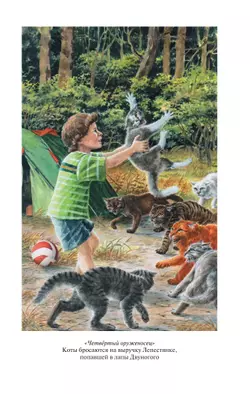 Коты воители. Золотая коллекция. Четвертый оруженосец. Долгое эхо 13