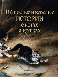 Пушистые и веселые истории о котах и кошках 4