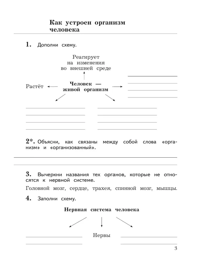 Окружающий мир. 3 класс. Рабочая тетрадь. В 2 частях. Часть 2 11 Окружающий мир. 3 класс. Рабочая тетрадь. В 2 частях. Часть 2 11