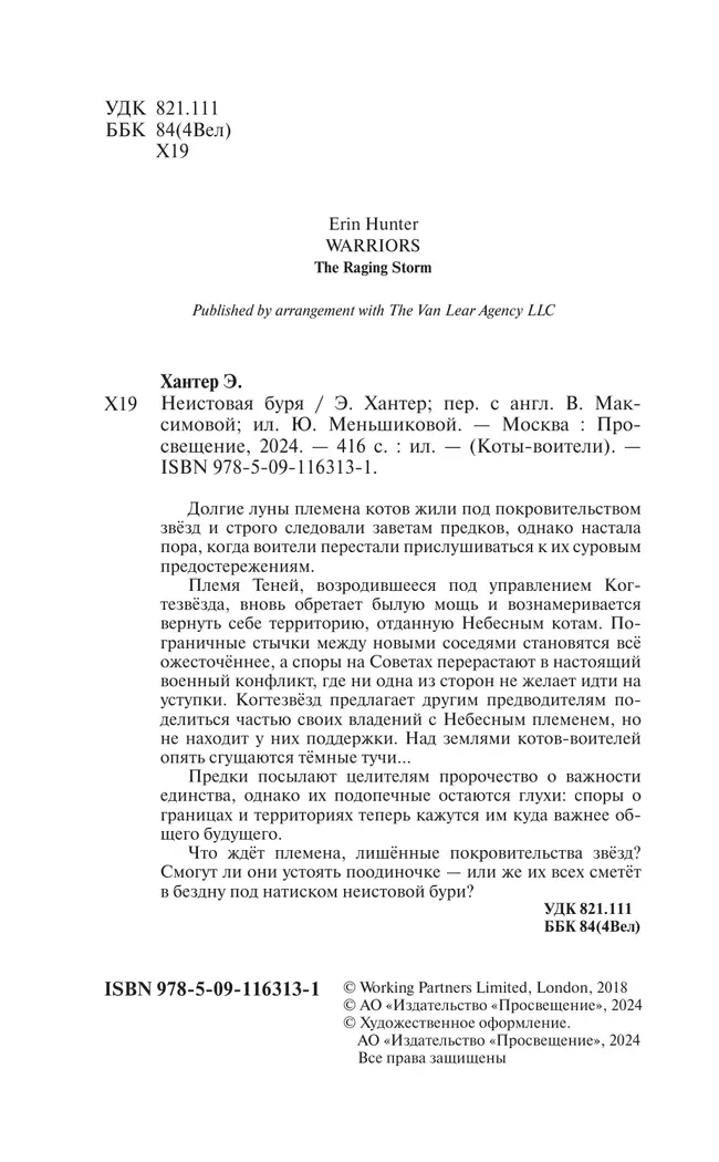 Неистовая буря (цикл "Видение теней") 52