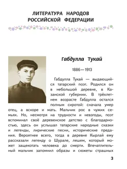 Литература. 6 класс. Учебное пособие. В 6 ч. Часть 6 (для слабовидящих обучающихся) 20