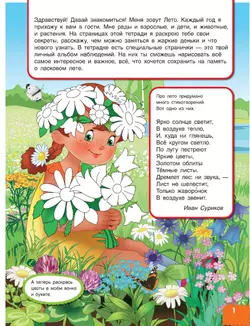 Вспоминаем лето! Учимся видеть и понимать (с наклейками) 4