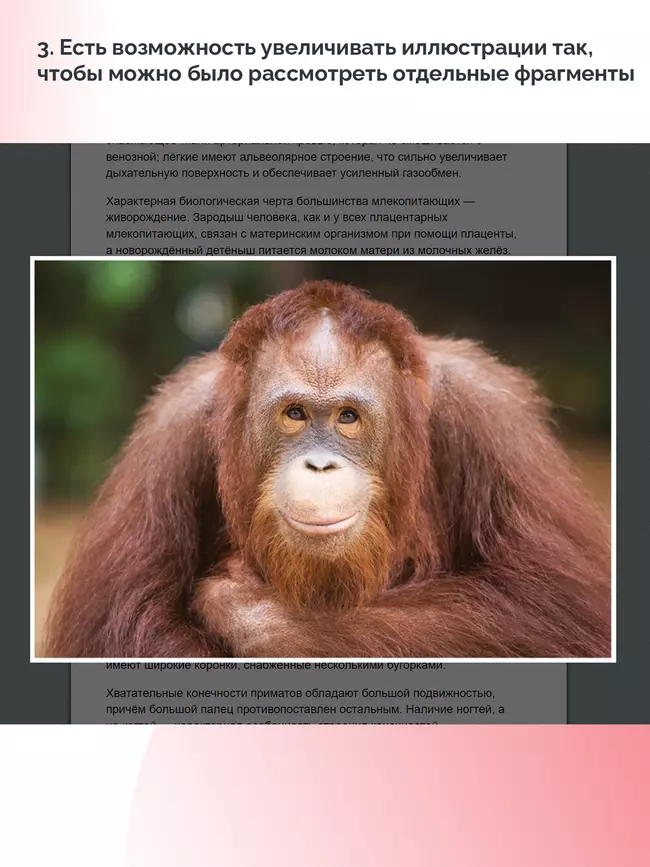 Биология. 9 класс. Базовый уровень (для обучающихся с нарушением зрения) 5