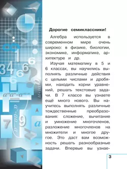 Математика. Алгебра. 7 класс. Базовый уровень. Учебное пособие. В 3 ч. Часть 2 (для слабовидящих обучающихся) 10