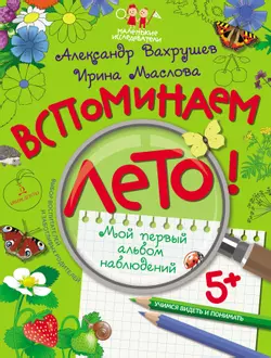 Вспоминаем лето! Учимся видеть и понимать (с наклейками) 1